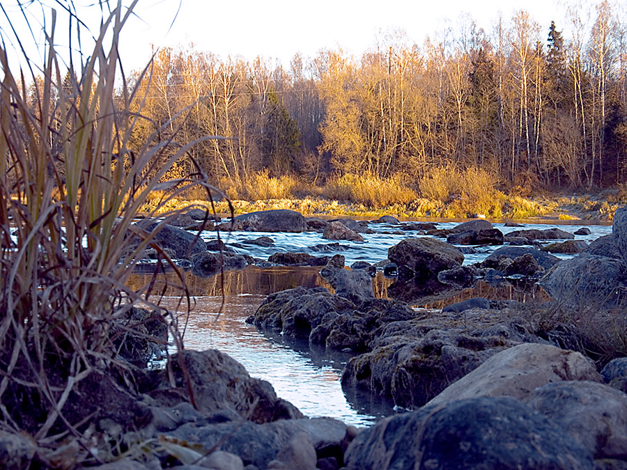 Dwina, bald Eis geworden