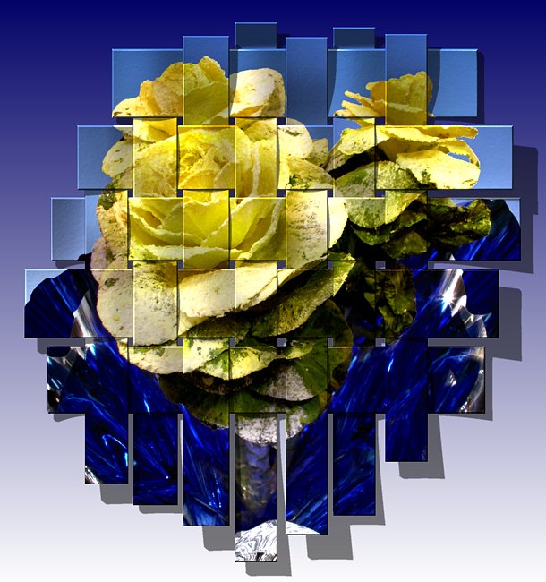 Welche Blume ist das?