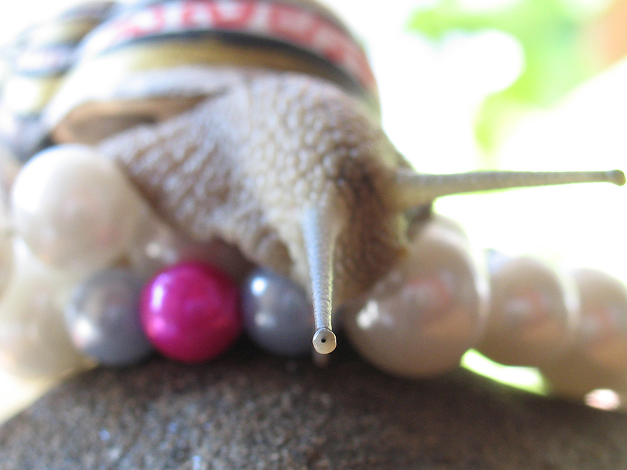 über die Schärfentiefe