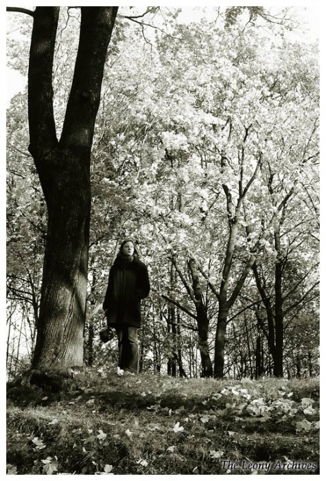 Herbst. Durchdringenden Blick.