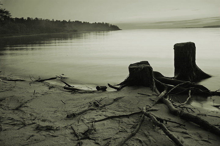 Der Fall wurde am Abend ..