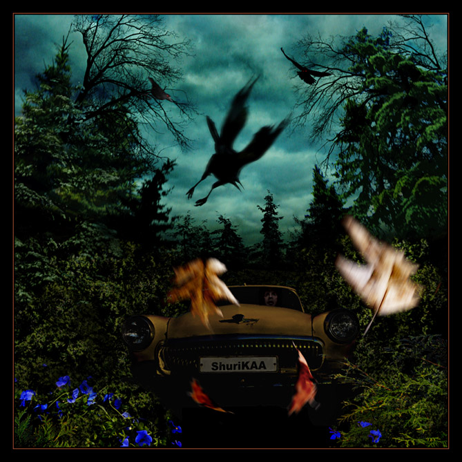 Schätzer, wenn der Stall ...