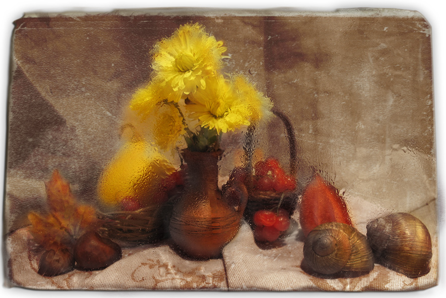 Stilleben mit Schlafgelegenheit Schnecken ...