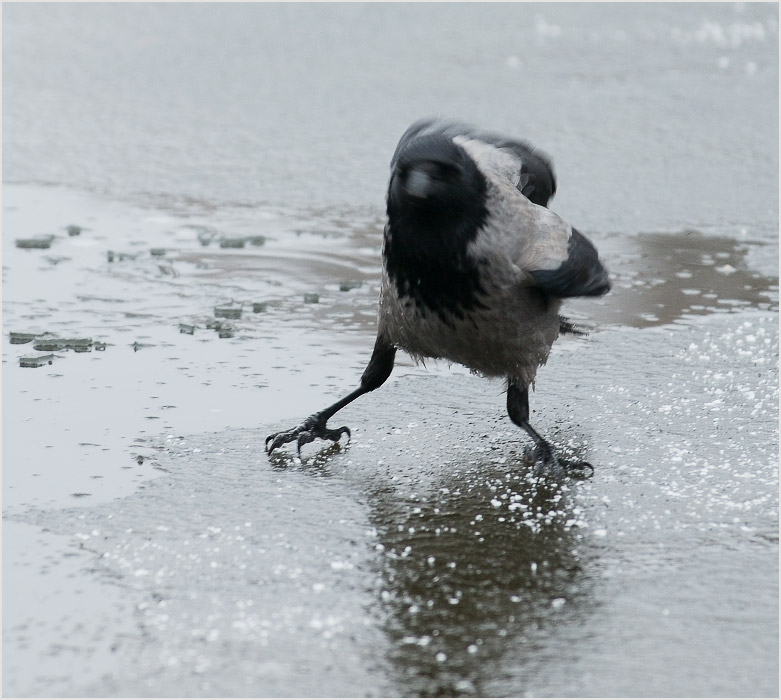 Nein, heute werde ich nicht zu schwimmen ...