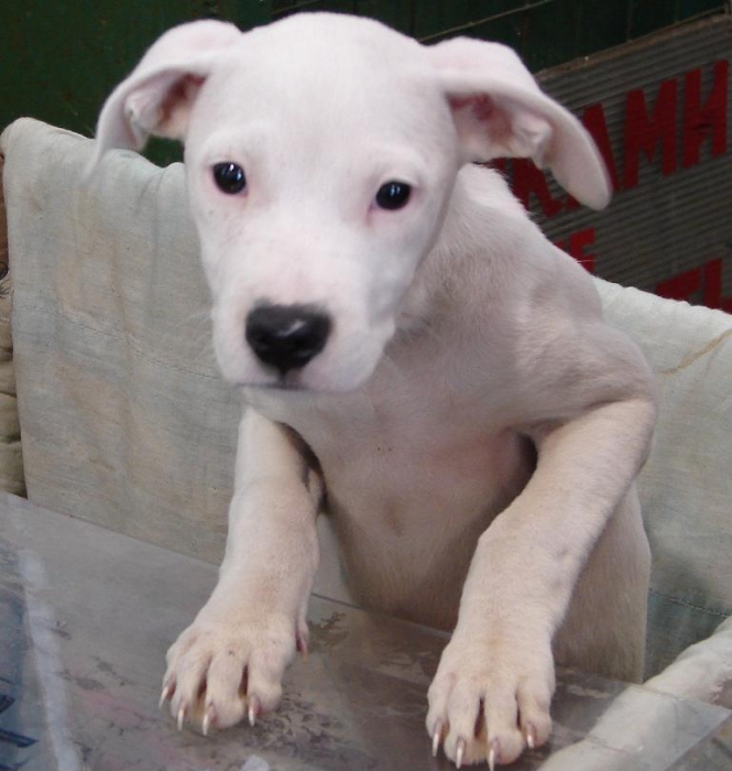 Auf der Suche nach Familie