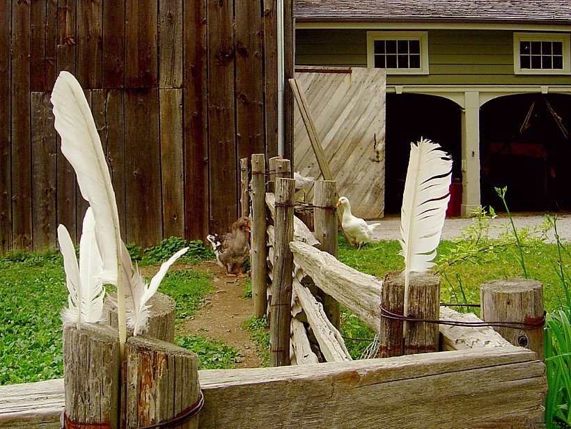 vyaskovyya matyvy na-antaryysku