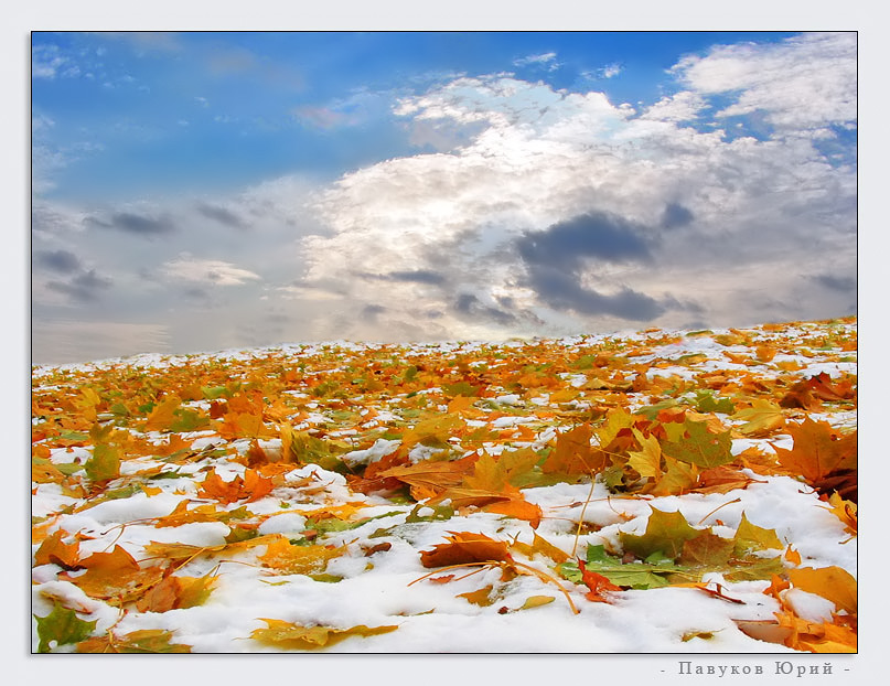 Amazing Paradoxien der Natur