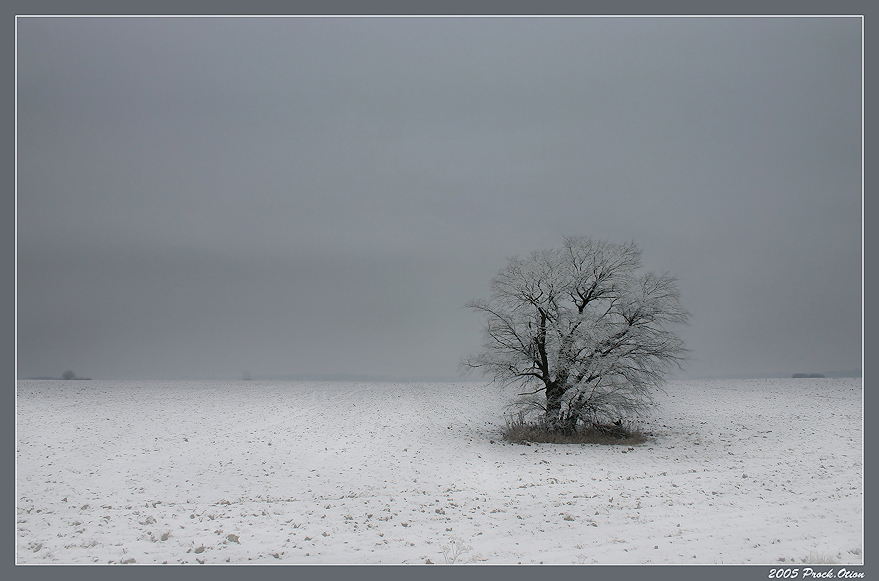 Landschaft mit einsamen Baum