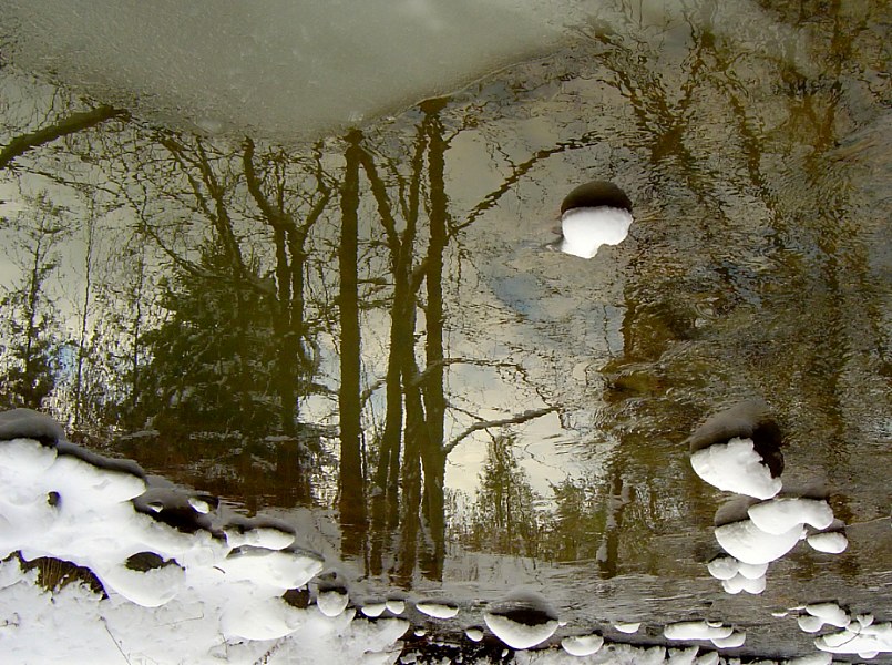 wenn Schamanen abkuryvayutstsa Amanita ... :)