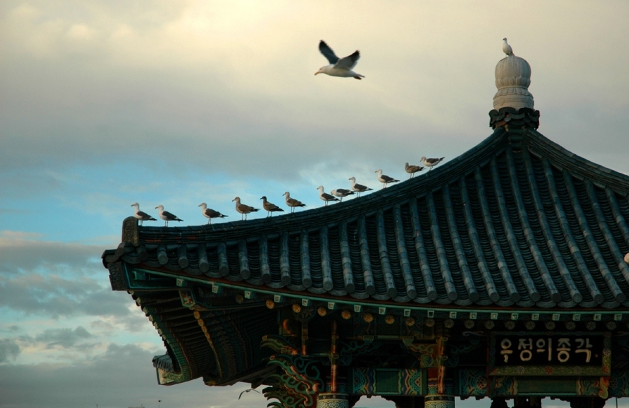 Rrr ... avnenie den Sonnenuntergang!