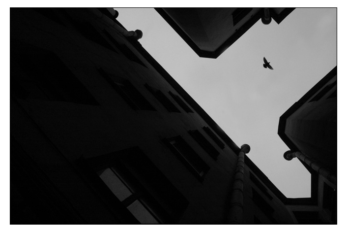 auf die Stimmung. Geburtstag.