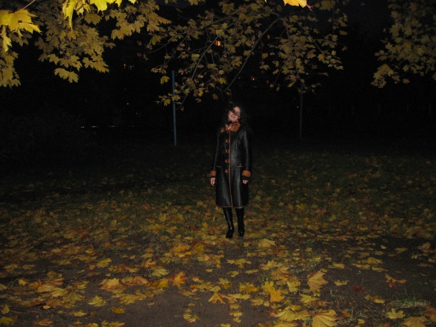 Auf diesen Blättern ...