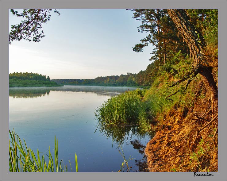 Morgen auf der Memel