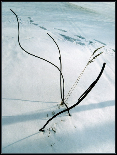 Winter Track Nummer 2