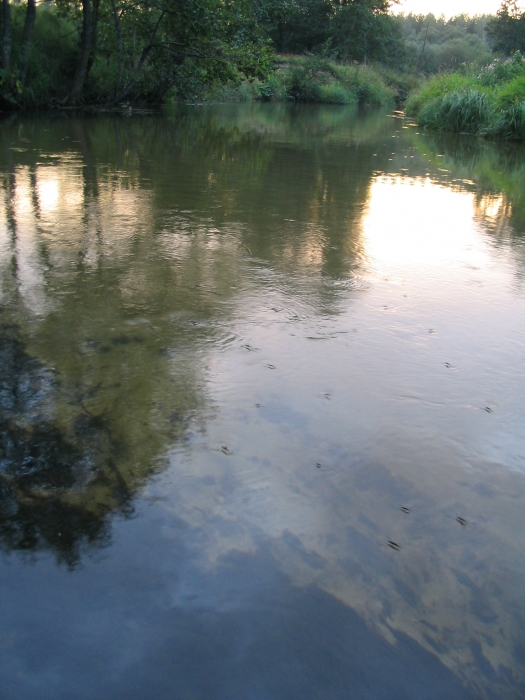 Spaziergang bei Sonnenuntergang (... Jacobi von Suchumi)