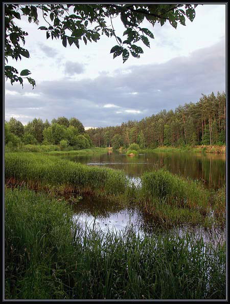einem sommerlichen Abend