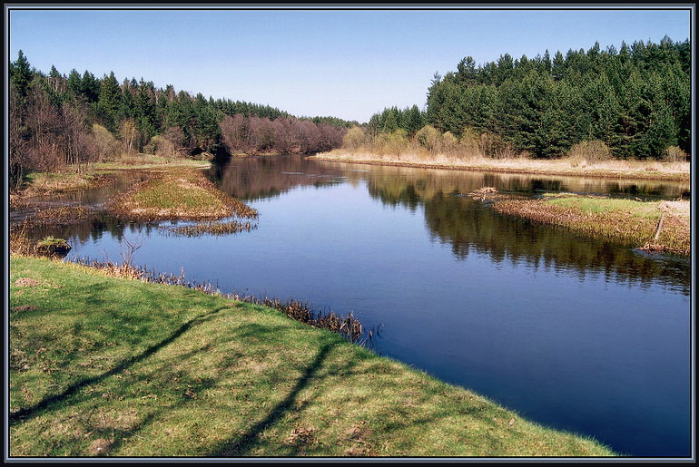schöner Frühlingstag