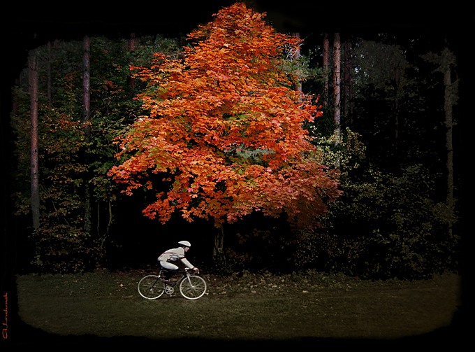 Radfahrer und Fall