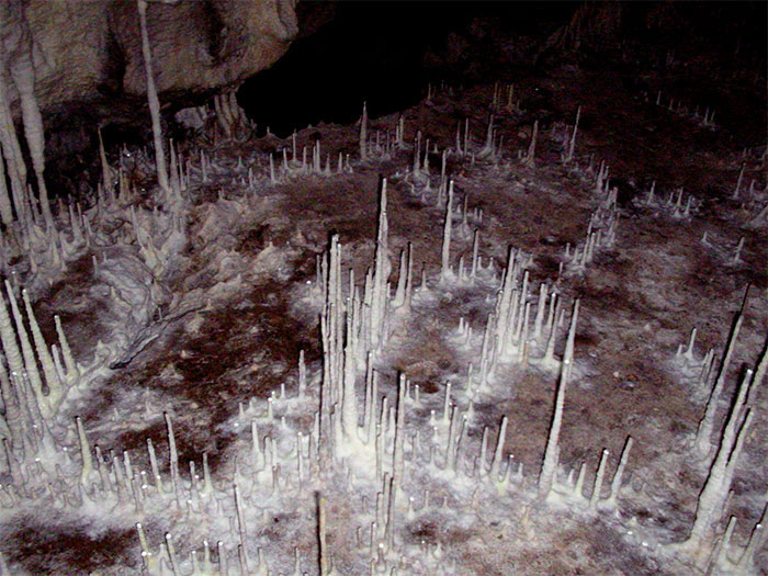 Eine unterirdische Architektur