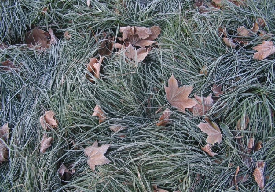 hier so Winter beginnt