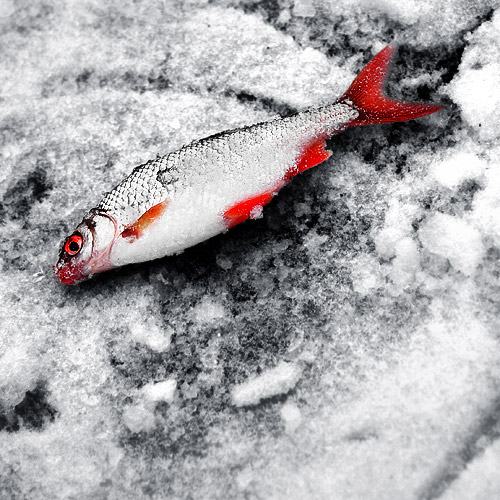 atmen ... so dass zu atmen ....