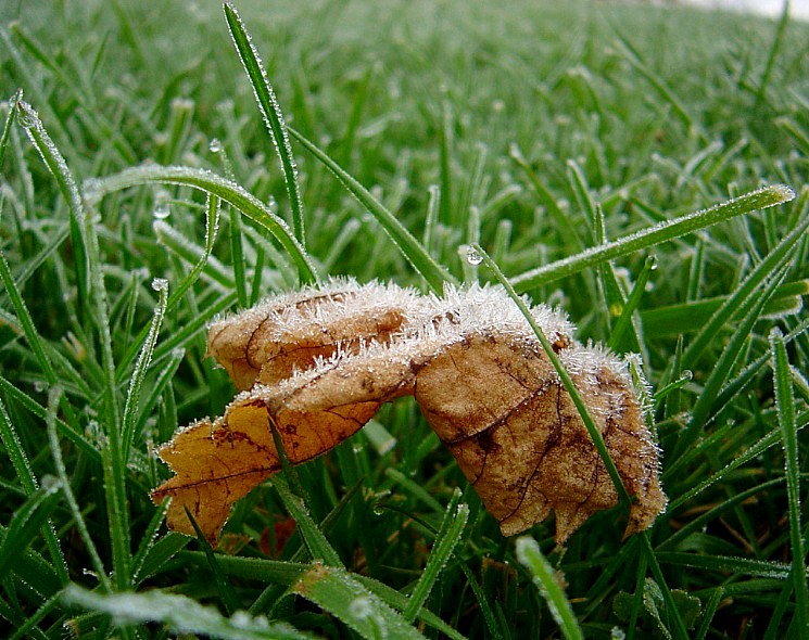wir hatten keine Zeit, zurück zu blicken ..