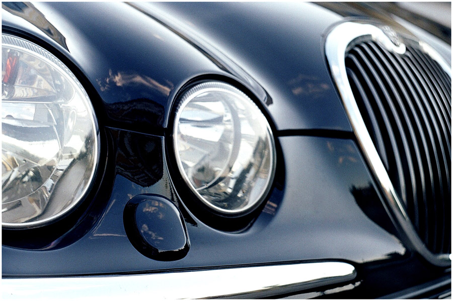 Jaguar Farben des Himmels