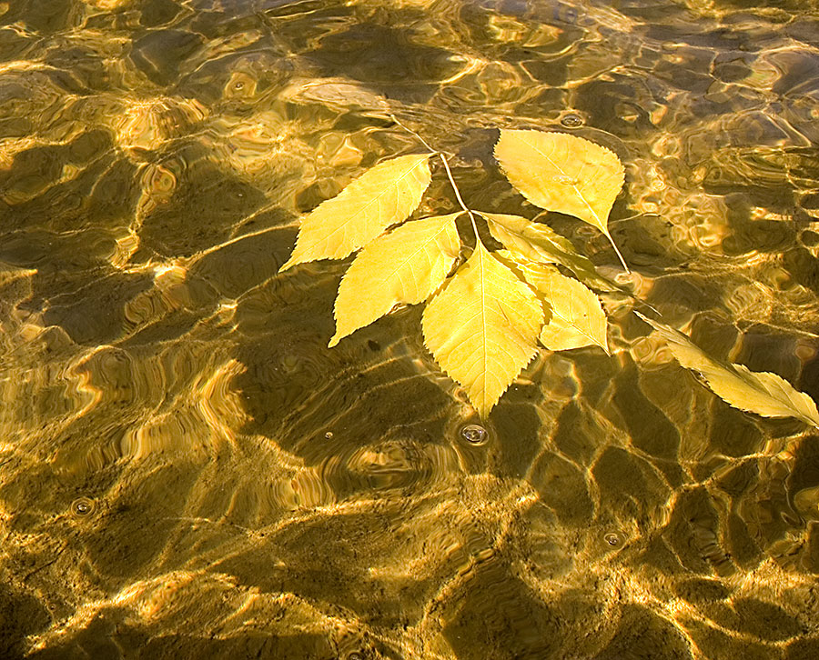 Beim Schmelzen Herbst ...