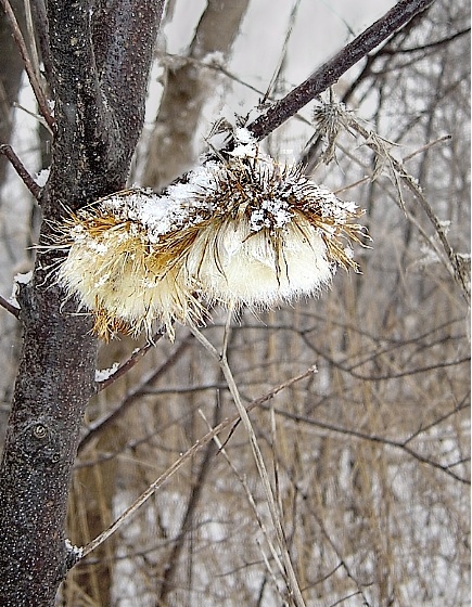 oder erhitzen Sie ..?
