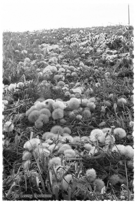 Ende des Sonnenwindes ...