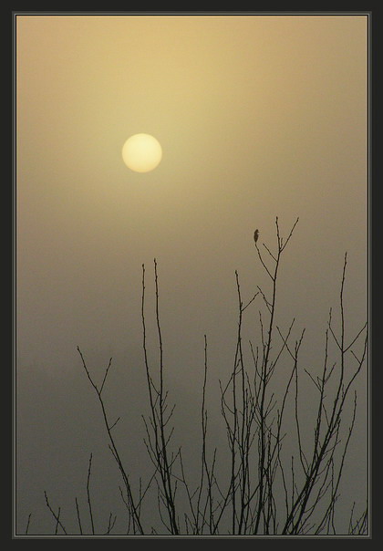 osen.proschalny Flug.