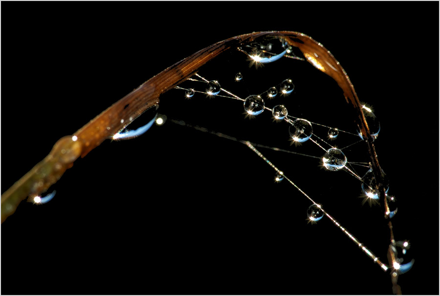 Fangen Sie die Sonne ... # 2