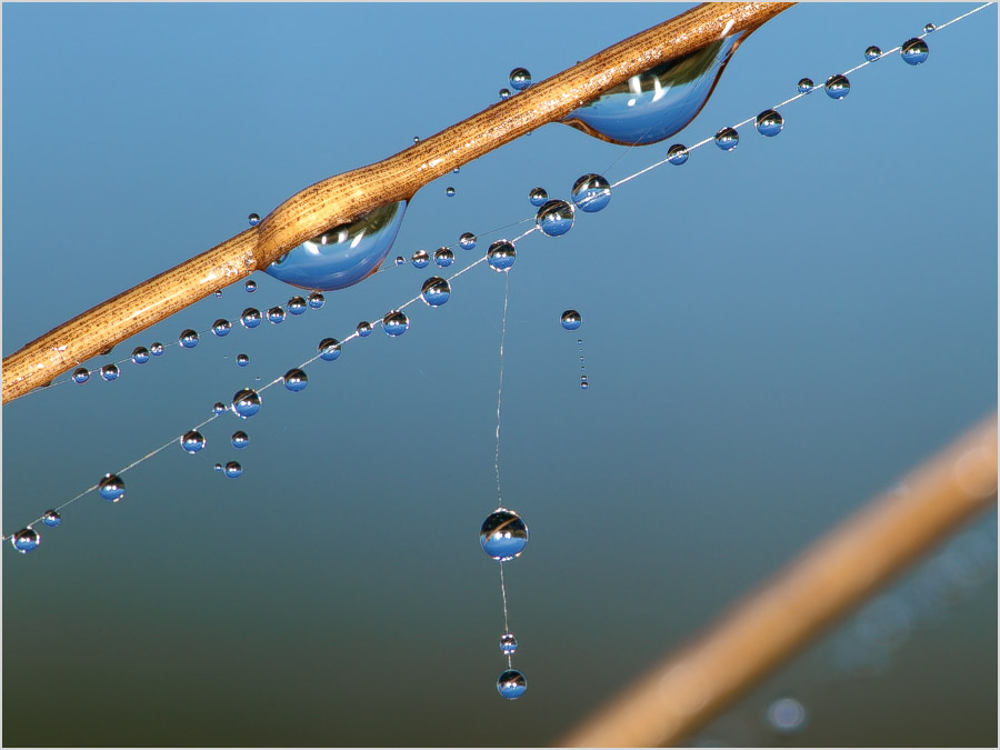 Warten auf die Sonne