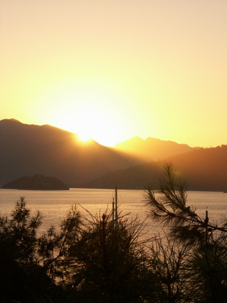 Blick aus dem Fenster