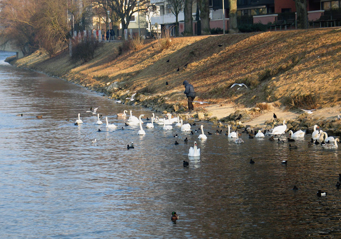 Einer großen Familie