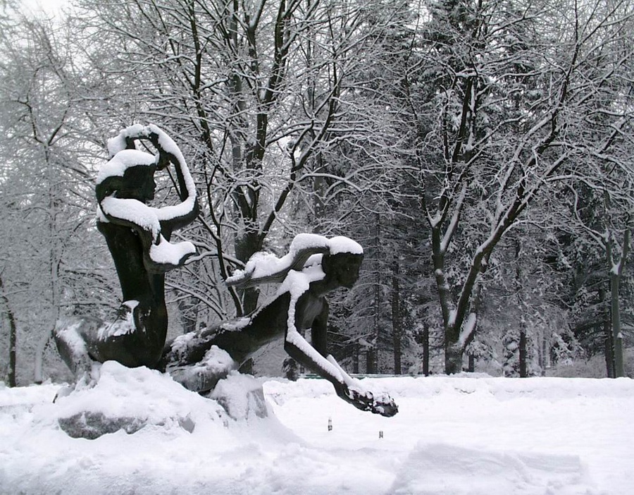 In Erwartung des Frühlings ...