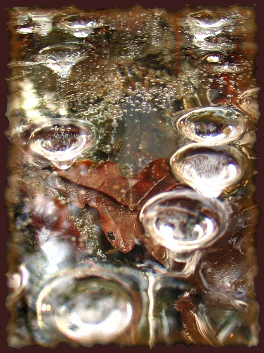 Eintauchen in den Herbst