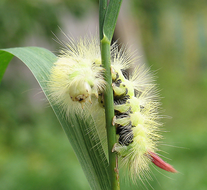 Hallo, dies nicht zu erwarten?