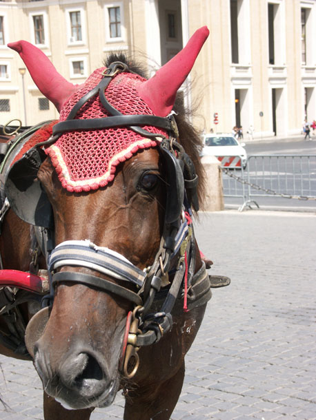 Little Red Riding Hood