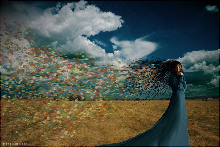 Herbst ist gekommen ...