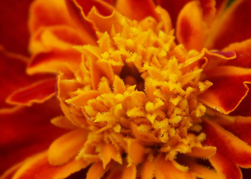 Haben Sie ein Licht?