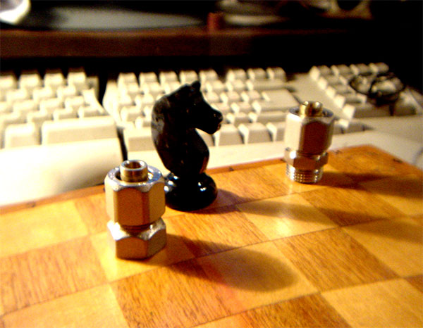 Pferd in einem fremden Gebiet ...