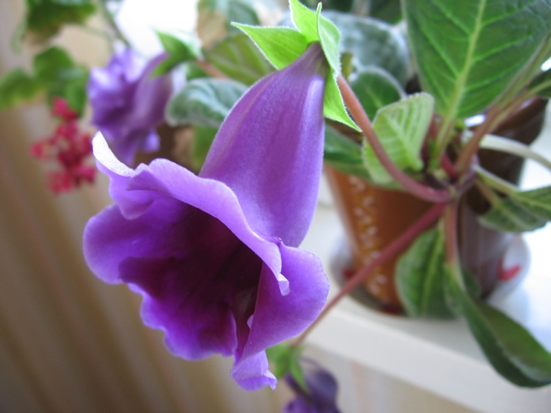 der Geruch von Sommer