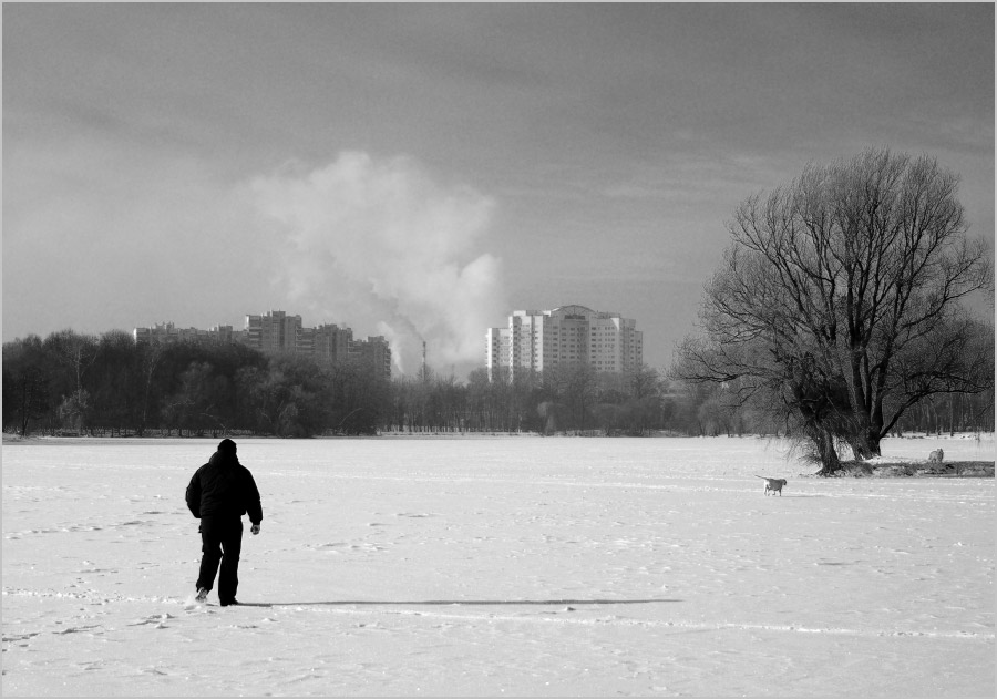 Ein sonniger Tag im Februar ... # 1