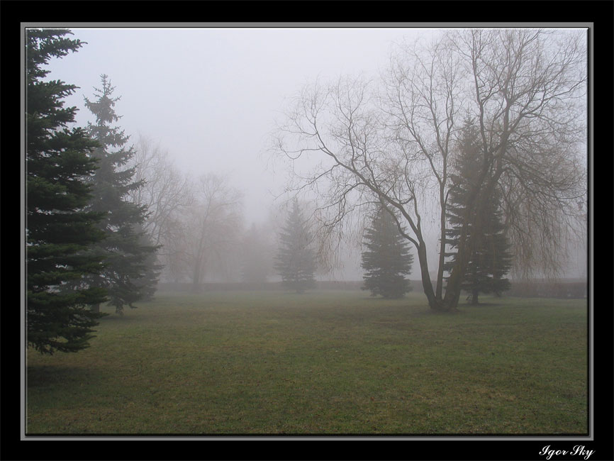 Frühlingsmorgen ...