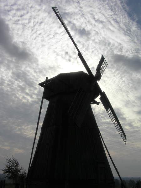 ... Spinnen, Spinnen ...