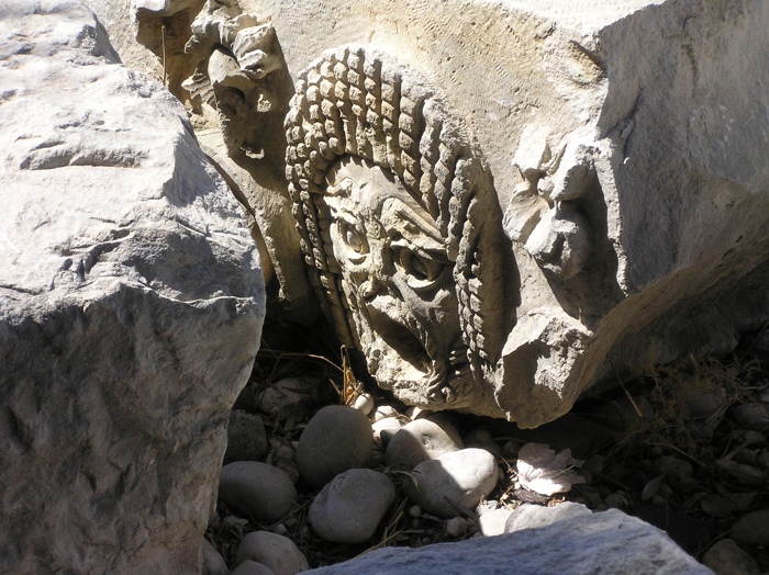 Tragödie der vergangenen Tage.