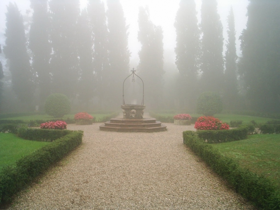 Speziell für Iryny Warab:))