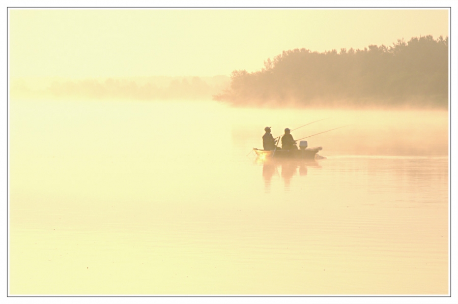 .... anhängig begehrten COB im Morgengrauen ....
