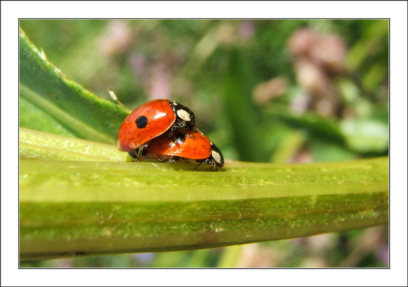 Der Frühling kommt!